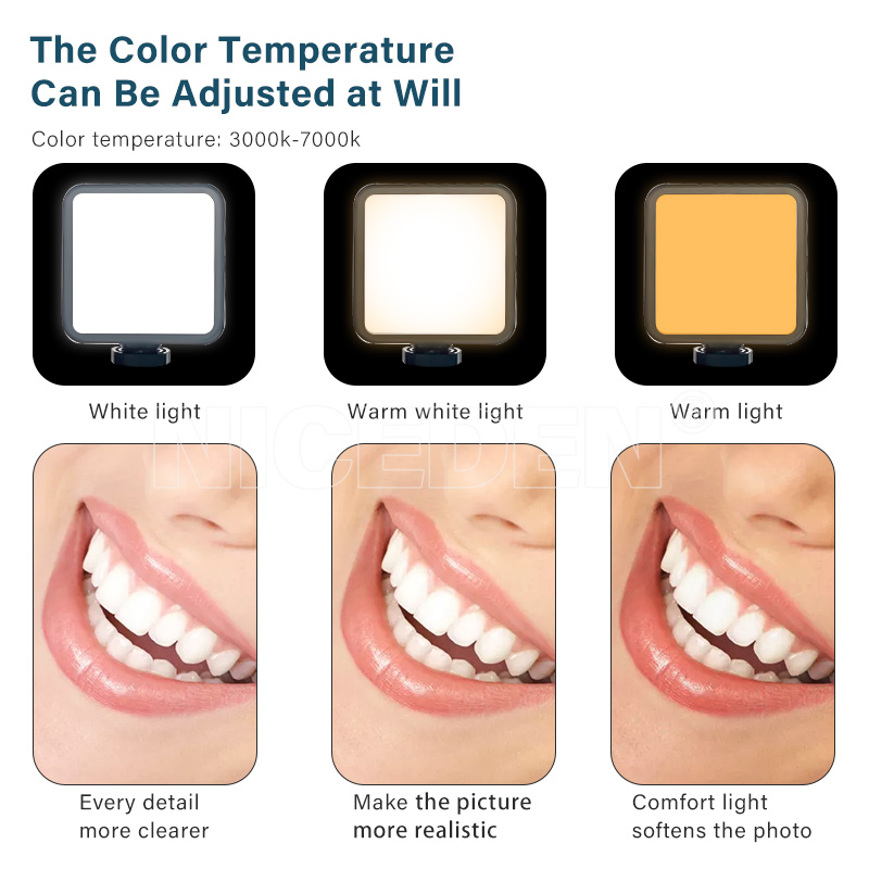 Niceden Dental portable Flash  - Photography Lighting With Flash avis et prix