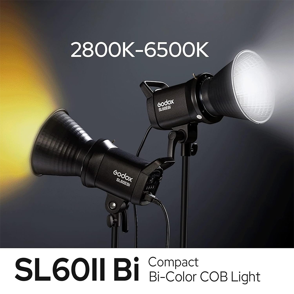 Godox SL60IID SL60IIBi 75W Day - Photography Lighting Kit Godox avis et prix